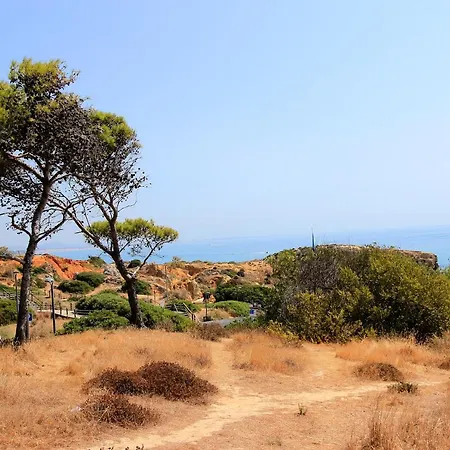 Apartment Cool Grey Albufeira